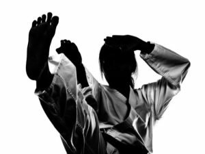 Introduction to Karate Course