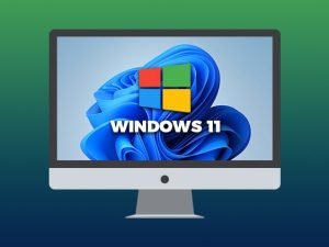 Windows 11 Advanced Features